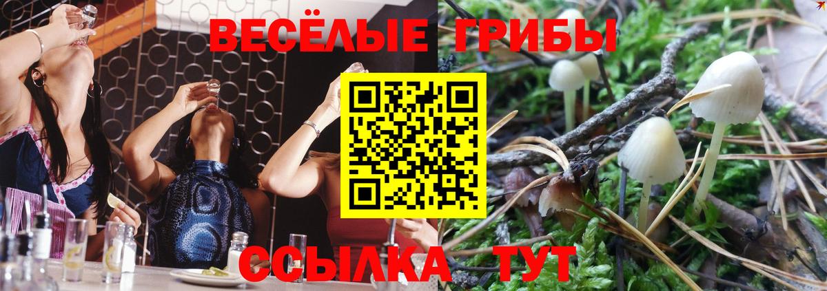 Галлюциногенные грибы ЛСД  Вход с VPN  Тула 