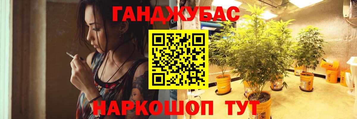 Бошки Шишки VHQ Тула